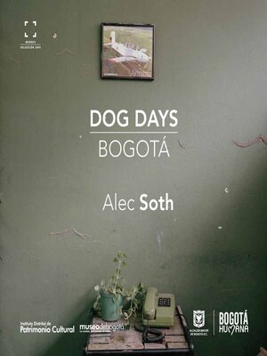 cover image of Dog days